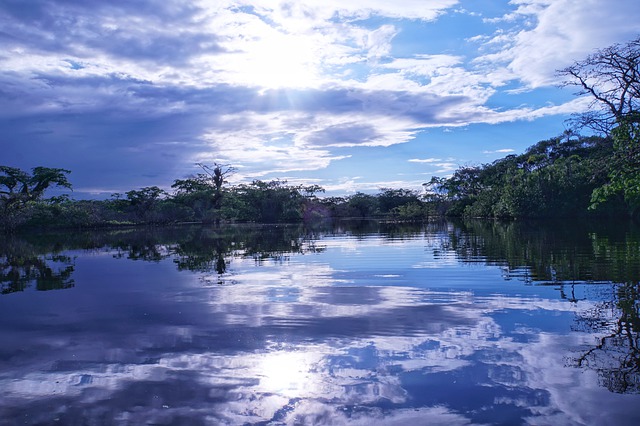 jezero v Amazonii